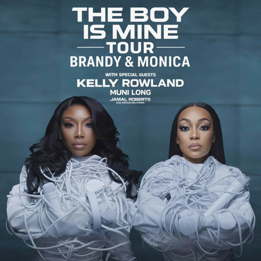 The Boy is Mine concert earrings