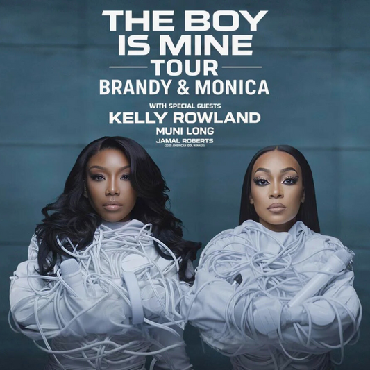 The Boy is Mine concert earrings